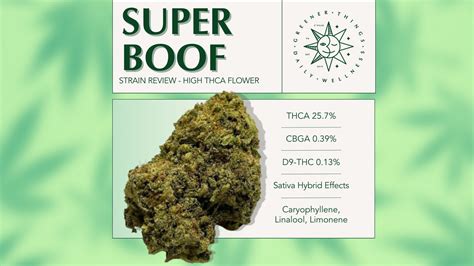 Strain Review Super Boof Greener Things