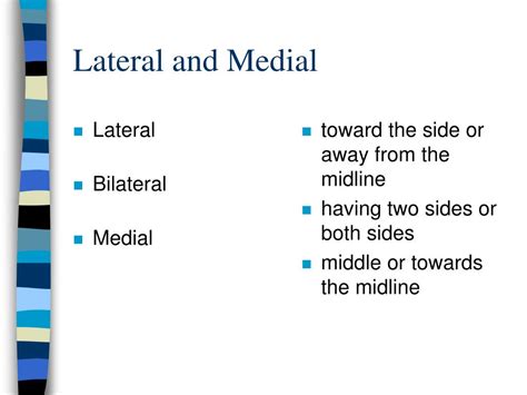 body structure powerpoint    id