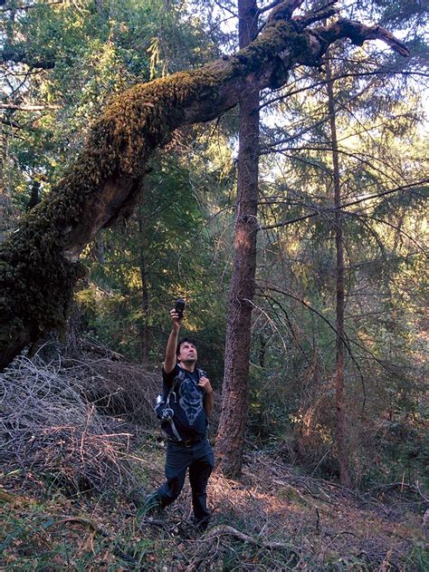 Bat Conservation in the San Francisco Bay Area (U.S. National Park Service)