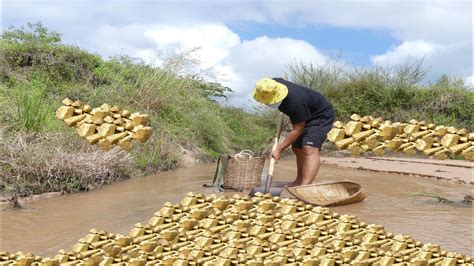 The Best Video Poor Man Walked Dig Golds Follow Running Water In Forest