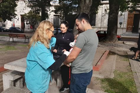 Campaña Municipal De Vacunación Más De 30 Mascotas Ya Fueron Vacunadas Municipalidad