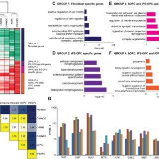 Genome Wide Remodeling Of The Iopc Transcriptome A Hierarchical