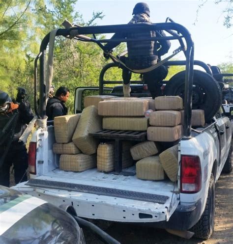 Aseguran En Mier 430 Kilogramos De Mariguana Grupo Milenio