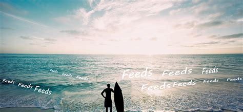 internet feeds   set     tech enhanced life