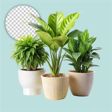 render  isolated plan  transparent background premium ai