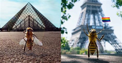 world's first bee influencer generates 'buzz' on instagram in bid to ...