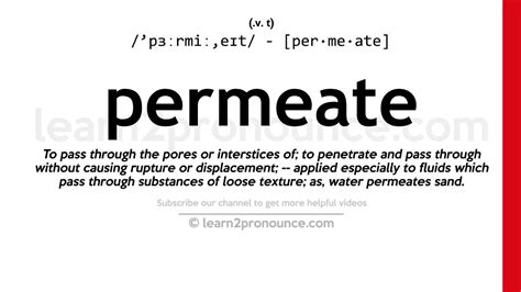 Pronunciation Of Permeate Definition Of Permeate Youtube