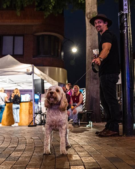 Houses for sale bexleyheath prices drop as market cooling begins 27