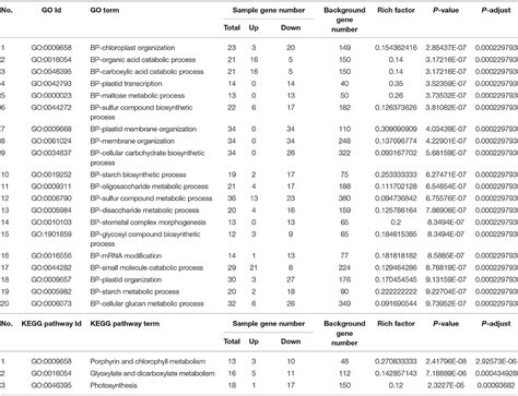 Frontiers Comparative Transcriptome Analysis Of Salt Stress Induced