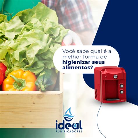 Você sabe qual é a melhor forma de higienizar seus alimentos Blog da