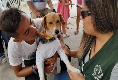 Niño salva a su perro de incendio Alerta Tolima