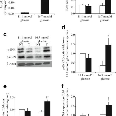 Islet Amyloid Severity A Beta Cell Apoptosis B And P Cjun Levels