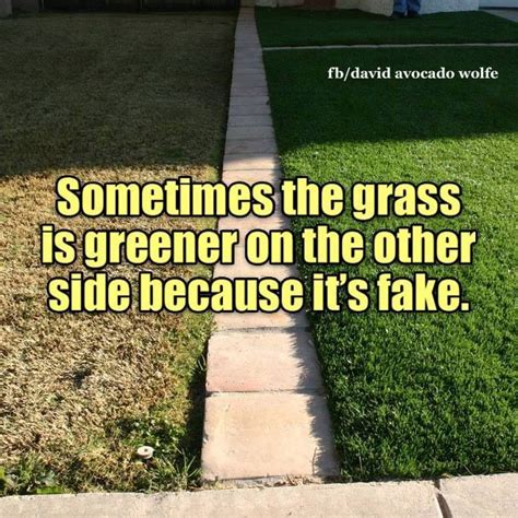 Sometimes Grass Is Greener On The Other Side Because Its Fake People