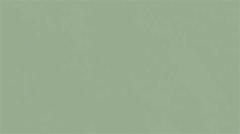 Green 14: Muted Green Paint - Peel-and-Stick Sample | Lick