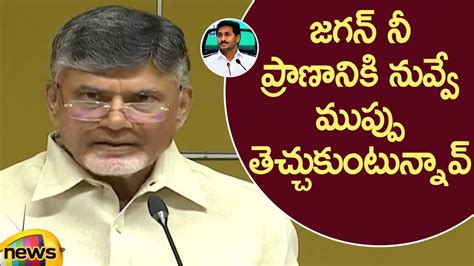 Chandrababu Naidu Serious Comments On Cm Ys Jagan In Press Meet Ap