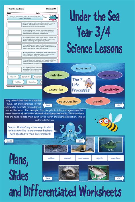 Under The Sea Topicall Science Lessons In Topic Science Lessons