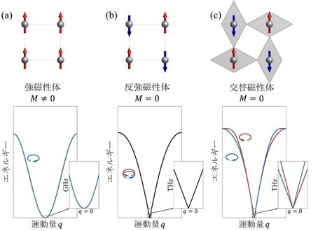 新しい概念の磁性体を実験的に検証 中性子散乱実験による交替磁性体の観測 ｜プレスリリース｜j Parc｜大強度陽子加速器施設