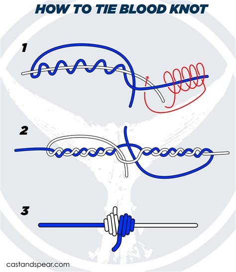 Blood Knot: How to Tie a Blood Knot (Review + Video)