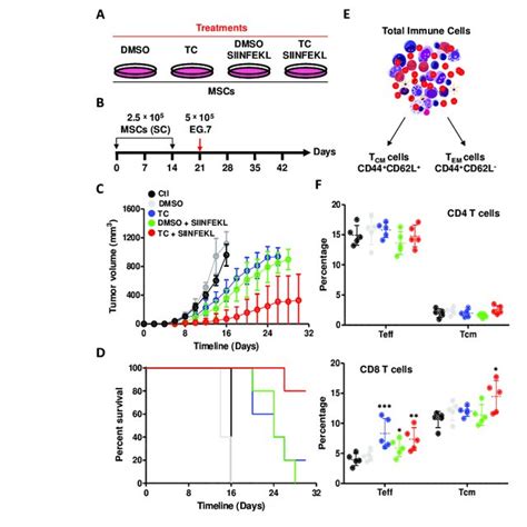 Tc Enhances The Immunogenicity Of Mscs A Schematic Diagram