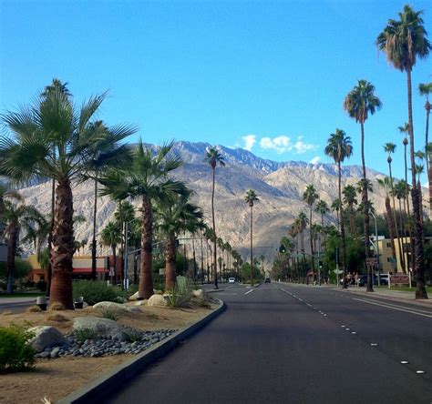 Palm Canyon Drive Palm Springs Ce Quil Faut Savoir Pour Votre