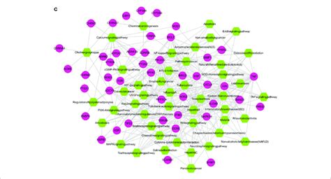 Compound Target Disease Pathway Networks A Compound Target Network