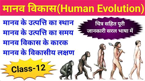 मानव विकास Evolution Of Human Human Evolution Class 12 Manav Vikas 12th Class Geography