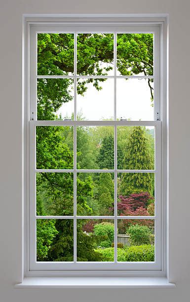 Window View Garden Stock Photos Pictures And Royalty Free Images Istock