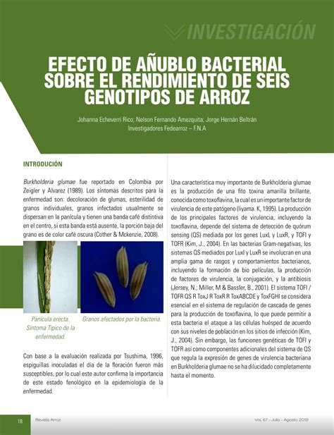 PDF EFECTO DE AÑUBLO BACTERIAL SOBRE EL RENDIMIENTO DE SEIS GENOTIPOS