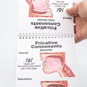 Speech Articulation Flip Charts For Slp English Language Teachers For