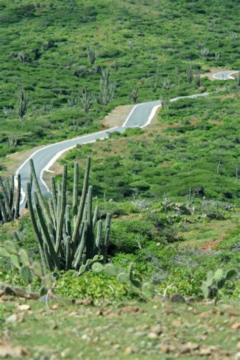 National Park - Aruba Cruise Tourism