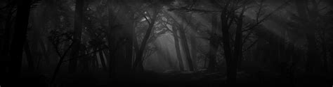 Spooky Forest Wallpaper - WallpaperSafari