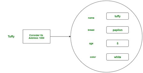 C Class And Objects Geeksforgeeks