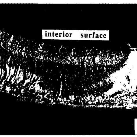 The Pattern Of Striations Shown In This Figure Is A Typical One For A