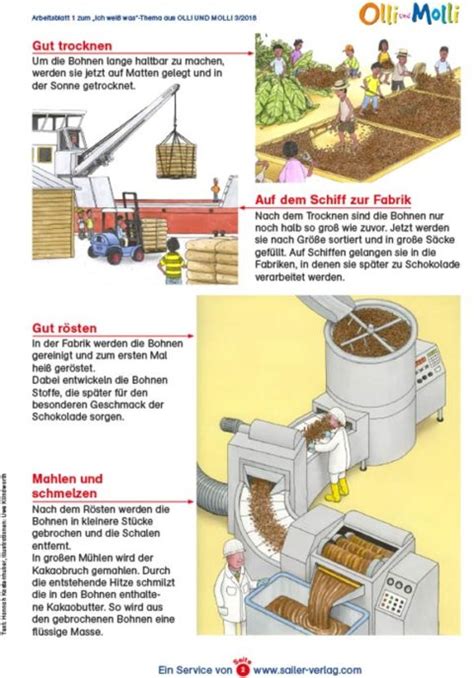 Vom Kakao Zur Schokolade Sailer Verlag