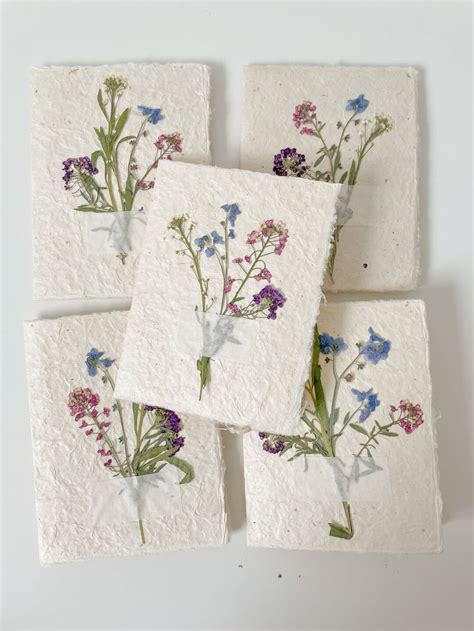 5 Pressed Flower Cards // Set of 5 Real Pressed Flower - Etsy | Pressed ...