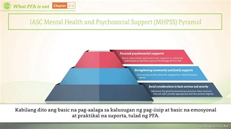 Iasc Mental Health And Psychosocial Support Pyramid Youtube