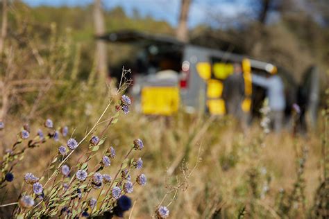 Ce Que Tu Dois Savoir Sur Le Camping Sauvage