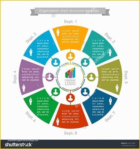 Free Circular organizational Chart Template Of 17 Best Images About ...