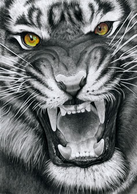 Snarling Tiger by Yankeestyle94 on DeviantArt