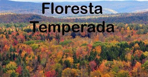 Clima Da Floresta Temperada