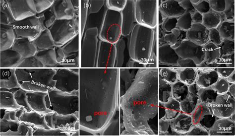 SEM Images Of WBCC Treated At Different Pyrolysis Temperatures A