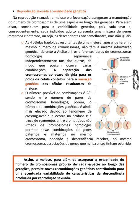 Resumo Das Aulas Biologia Parte Reprodu O Sexuada E