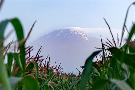 Moshi Countryside MTB Tour Tanzania BikeTours