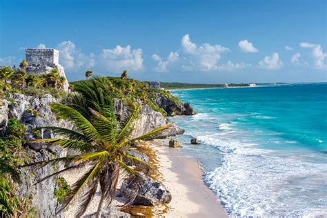 Day Trip To The Tulum Ruins And Gran Cenote Road Affair