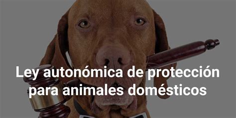 Nueva Ley De Protección De Animales Gallega El Rincón Legal