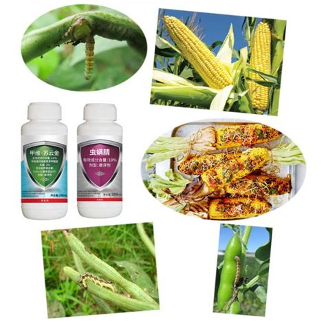 24 Emamectin Benzoate Bt Corn Borer Pesticide Insecticide For Paddy Crop