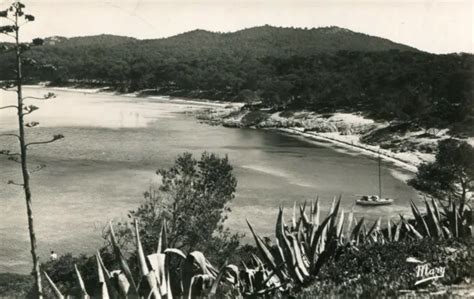 CARTE ILE DE PORQUEROLLES L île Heureuse Ses Collines boisées et ses