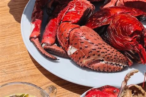 Recettes Cal Doniennes Le Crabe De Cocotier Et Sa Sauce Aux Pourpiers