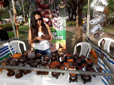 Artesanato Em Coco Baba U Uma Arte De Lago Da Pedra Que Encanta