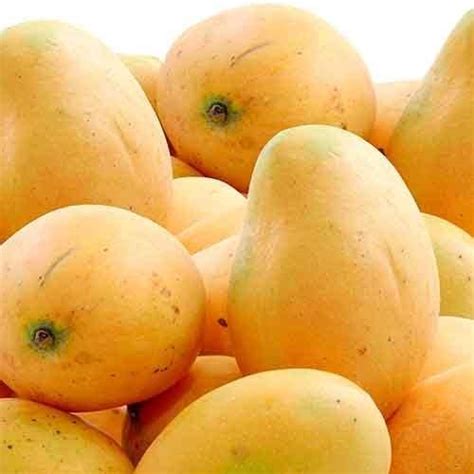 Banganapalli Mango